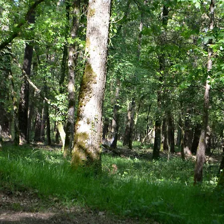 Domaine Du Hallier * Saint-Sulpice (Vienne)