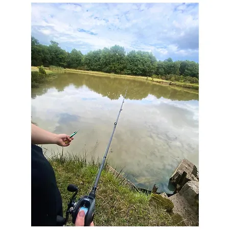 Domaine Du Hallier * Saint-Sulpice (Vienne)