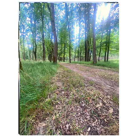 Domaine Du Hallier *