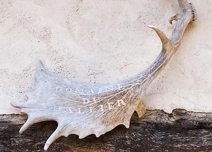 Domaine Du Hallier Saint-Sulpice (Vienne)