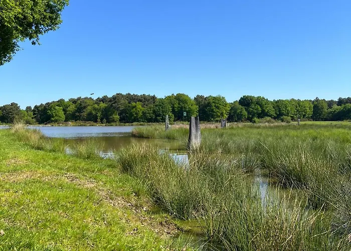 Villa Domaine Du Hallier Saint-Sulpice (Vienne)