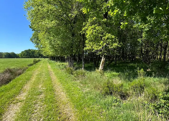 Villa Domaine Du Hallier Saint-Sulpice (Vienne)