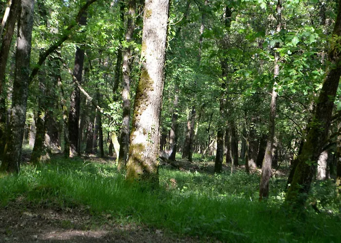 Domaine Du Hallier * Saint-Sulpice (Vienne)