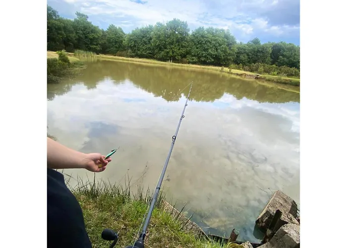 Domaine Du Hallier * Saint-Sulpice (Vienne)