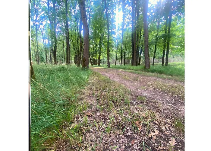 Domaine Du Hallier *